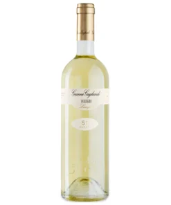 PODERI GIANNI GAGLIARDO FALLEGRO LANGHE DOC FAVORITA 2023